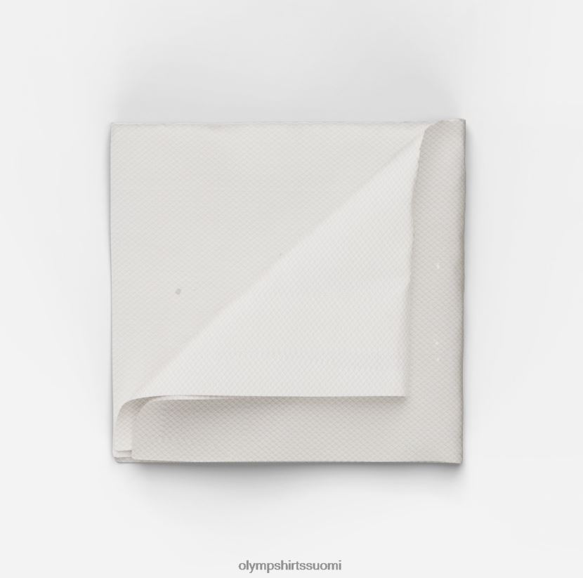 Lisätarvikkeet OLYMP tasku neliö 33x33 cm, samppanja 24N6D2542